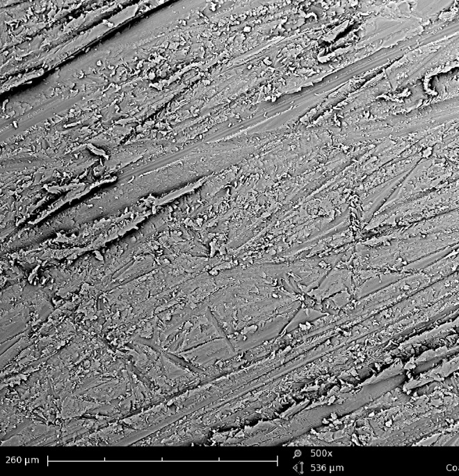 Evaluation of Surface Characteristics of Denture Base Using Organic-Inorganic Hybrid Coating: An SEM Study.