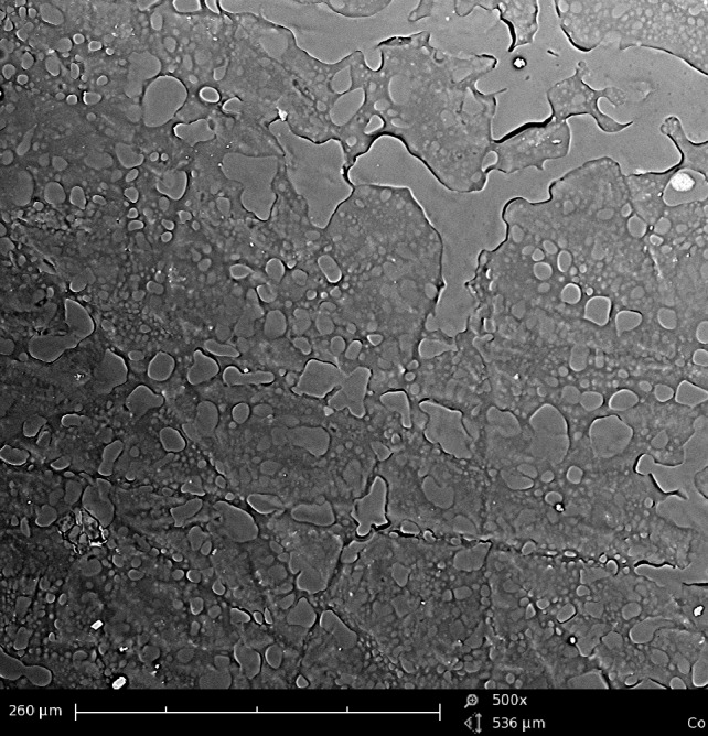 Evaluation of Surface Characteristics of Denture Base Using Organic-Inorganic Hybrid Coating: An SEM Study.