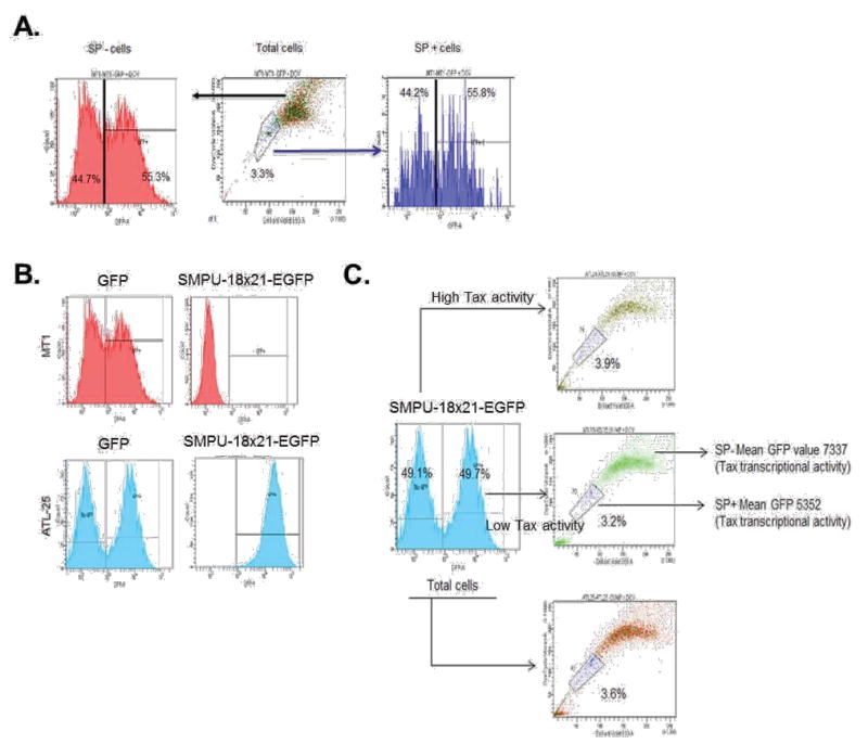 NOTCH1 Activation Depletes the Pool of Side Population Stem Cells in ATL.