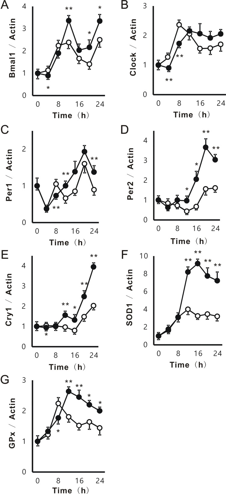 Passionflower Extract Induces High-amplitude Rhythms without Phase Shifts in the Expression of Several Circadian Clock Genes <i>in Vitro</i> and <i>in Vivo</i>.