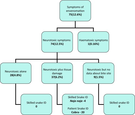 Outcome determinants of snakebites in North Bihar, India: a prospective hospital based study.