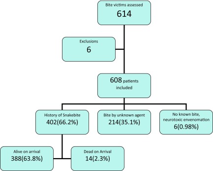 Outcome determinants of snakebites in North Bihar, India: a prospective hospital based study.