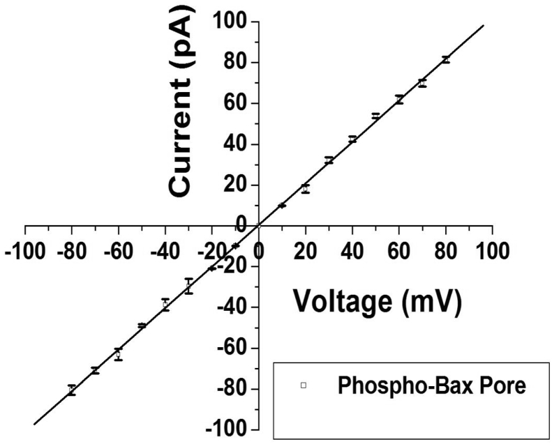 JNK3 phosphorylates Bax protein and induces ability to form pore on bilayer lipid membrane