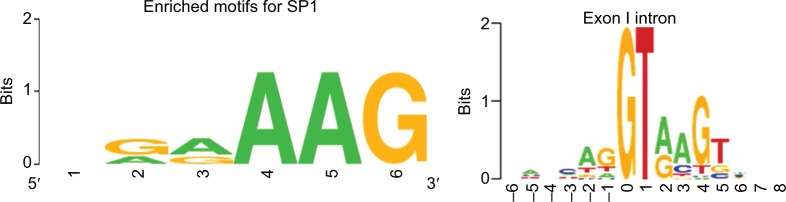 Prioritizing single-nucleotide polymorphisms and variants associated with clinical mastitis.