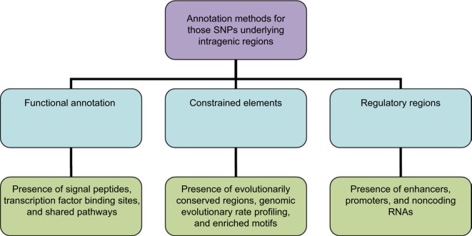 Prioritizing single-nucleotide polymorphisms and variants associated with clinical mastitis.