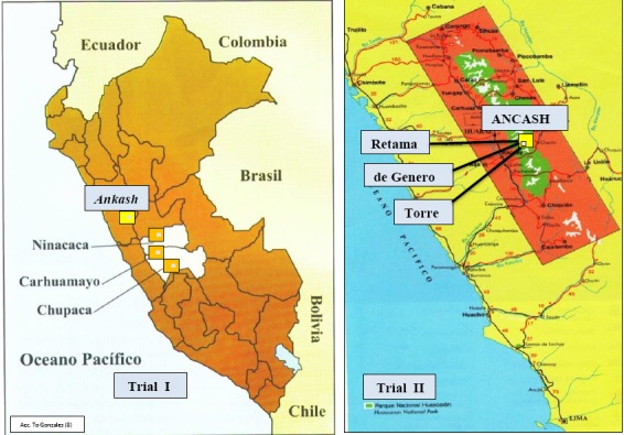 Peruvian Maca (<i>Lepidium peruvianum</i>) - III: The Effects of Cultivation Altitude on Phytochemical and Genetic Differences in the Four Prime Maca Phenotypes.