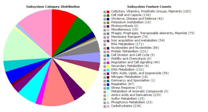 Draft Genome Sequence of a Virulent Strain of <i>Pasteurella Multocida</i> Isolated From Alpaca.