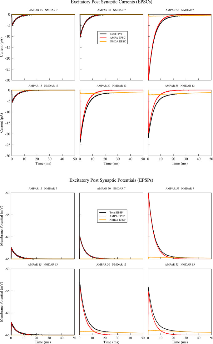 Stochastic, structural and functional factors influencing AMPA and NMDA synaptic response variability: a review.