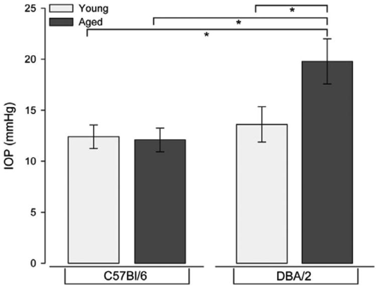 Constitutive and Stress-induced Expression of CCL5 Machinery in Rodent Retina.