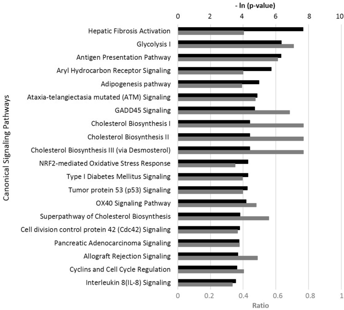 Arborvitae (Thuja plicata) essential oil significantly inhibited critical inflammation- and tissue remodeling-related proteins and genes in human dermal fibroblasts