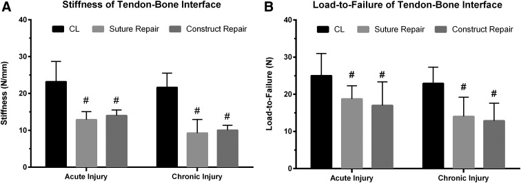 Tissue-Engineered Tendon for Enthesis Regeneration in a Rat Rotator Cuff Model.