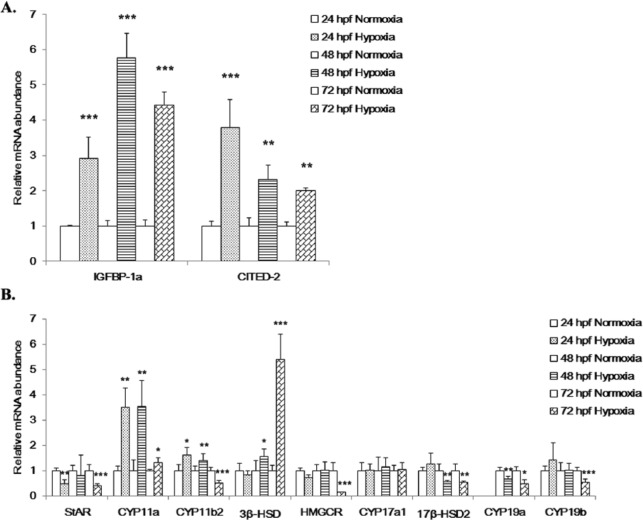 Overexpression and Knockdown of Hypoxia-Inducible Factor 1 Disrupt the Expression of Steroidogenic Enzyme Genes and Early Embryonic Development in Zebrafish.