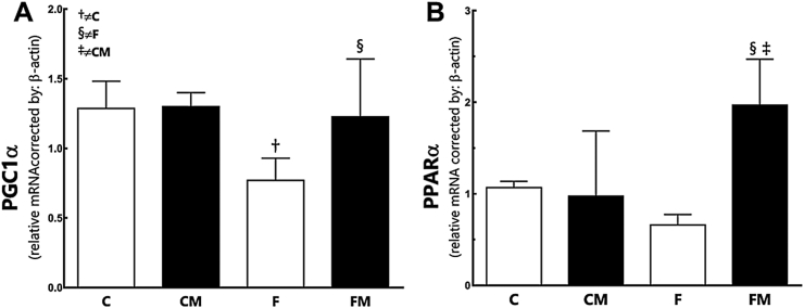 Liver and Metformin: Lessons of a fructose diet in mice