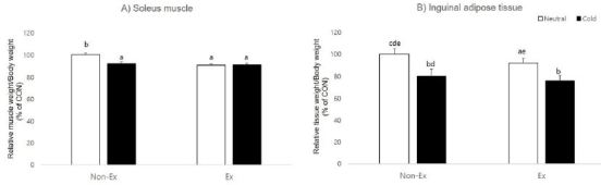 The effects of exercise and cold exposure on mitochondrial biogenesis in skeletal muscle and white adipose tissue.