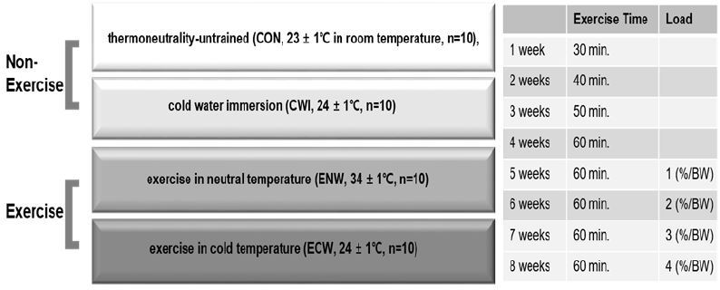 The effects of exercise and cold exposure on mitochondrial biogenesis in skeletal muscle and white adipose tissue.