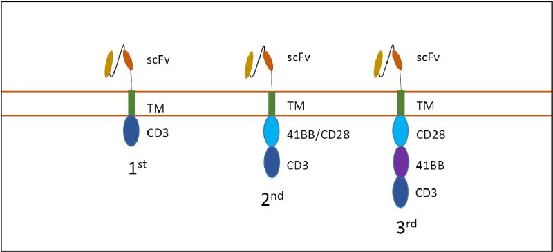 Chimeric-Antigen-Receptor (CAR) T Cells and the Factors Influencing their Therapeutic Efficacy.