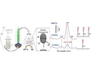 Kinetics of catalytic oxidation of carbon monoxide over CuMnAgOx catalyst