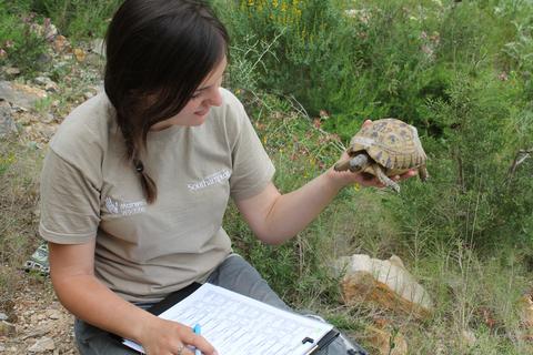 Editorial: The Role of Zoos and Aquariums in Reintroductions and Other Conservation Translocations