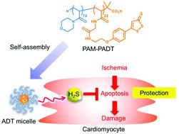 Hydrogen sulfide donor micelles protect cardiomyocytes from ischemic cell death†