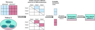 Identification of perturbed signaling pathways from gene expression data using information divergence†