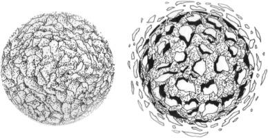 The plastic in microplastics: A review