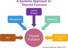 A post-publication analysis of the idealized upper reference value of 2.5 mIU/L for TSH: Time to support the thyroid axis with magnesium and iron especially in the setting of reproduction medicine