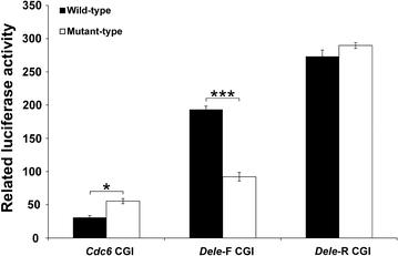 Identification of G-quadruplex structures that possess transcriptional regulating functions in the Dele and Cdc6 CpG islands