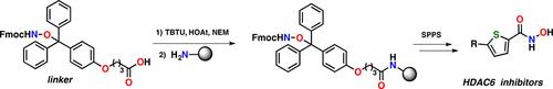 A Linker for the Solid-Phase Synthesis of Hydroxamic Acids and Identification of HDAC6 Inhibitors