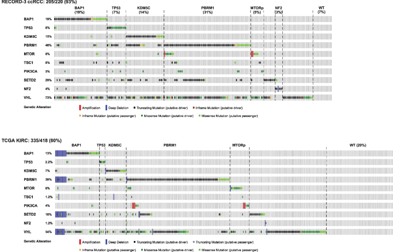 Molecular Classification of Renal Cell Carcinoma and Its Implication in Future Clinical Practice.