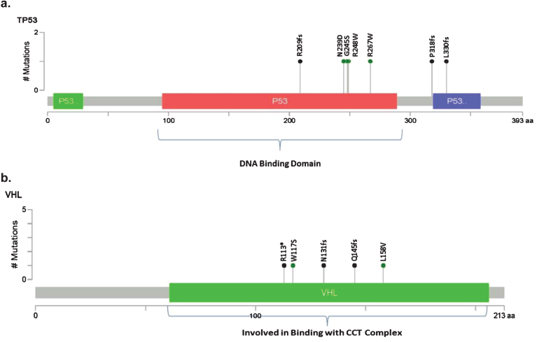 Association of Circulating Tumor DNA (ctDNA) Detection in Metastatic Renal Cell Carcinoma (mRCC) with Tumor Burden.