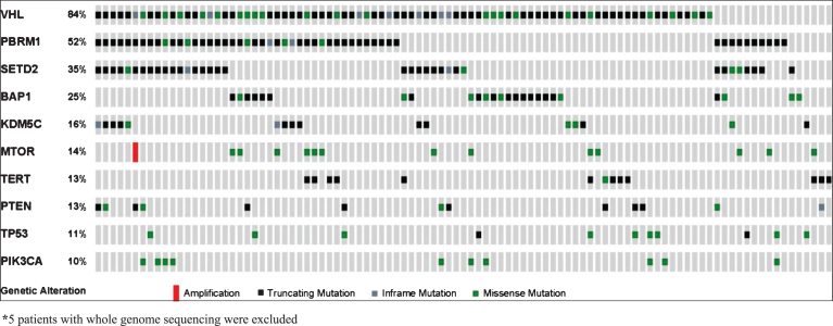 Genomic Alterations and Outcomes with VEGF-Targeted Therapy in Patients with Clear Cell Renal Cell Carcinoma.