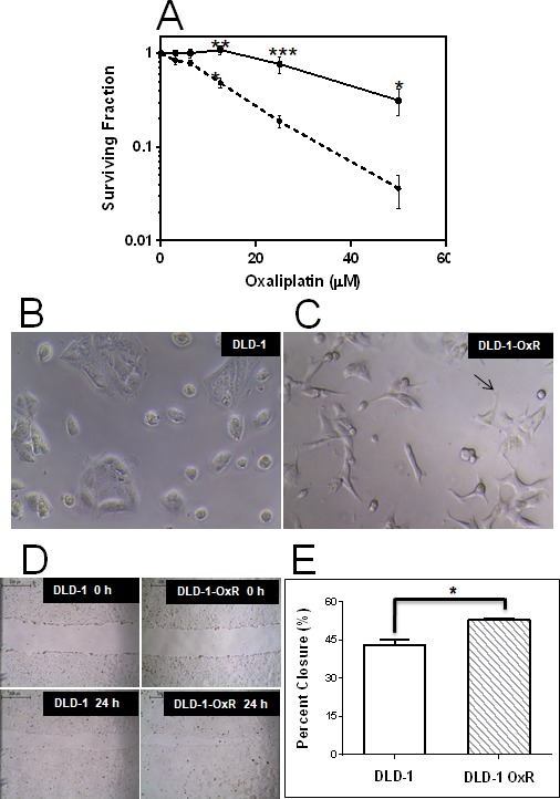 Deregulated expression of microRNA-200b/c and SUZ12, a Polycomb repressive complex 2 subunit, in chemoresistant colorectal cancer cells.