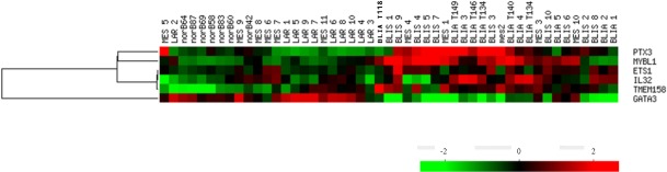 Identification of candidate genes associated with triple negative breast cancer.