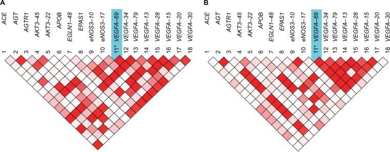 SNPs, linkage disequilibrium, and chronic mountain sickness in Tibetan Chinese.