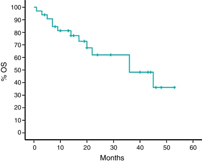 Everolimus as a single agent in refractory or relapsed Hodgkin's lymphoma: the Brazilian Named Patient Program Experience