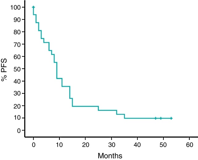 Everolimus as a single agent in refractory or relapsed Hodgkin's lymphoma: the Brazilian Named Patient Program Experience