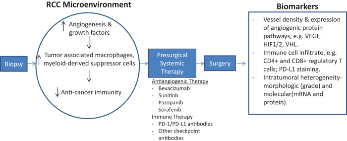 Systematic Review: Perioperative Systemic Therapy for Metastatic Renal Cell Carcinoma.