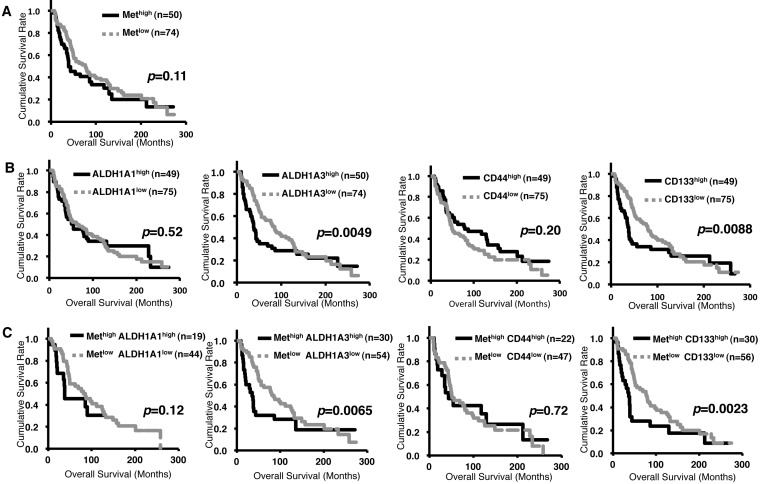 Correlation between c-Met and ALDH1 contributes to the survival and tumor-sphere formation of ALDH1 positive breast cancer stem cells and predicts poor clinical outcome in breast cancer.