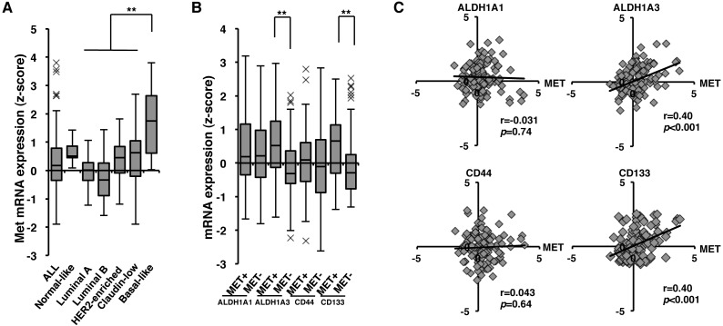 Correlation between c-Met and ALDH1 contributes to the survival and tumor-sphere formation of ALDH1 positive breast cancer stem cells and predicts poor clinical outcome in breast cancer.