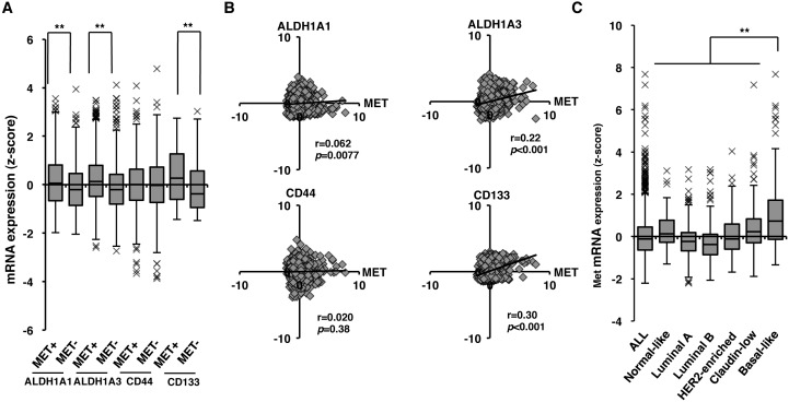 Correlation between c-Met and ALDH1 contributes to the survival and tumor-sphere formation of ALDH1 positive breast cancer stem cells and predicts poor clinical outcome in breast cancer.