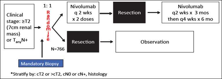 Transforming the Perioperative Treatment Paradigm in Non-Metastatic RCC-A Possible Path Forward.