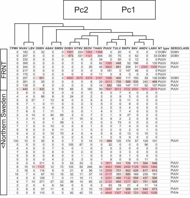 Serogrouping and seroepidemiology of North European hantaviruses using a novel broadly targeted synthetic nucleoprotein antigen array.