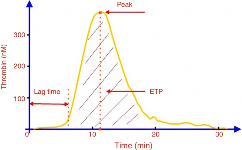 Thrombin generation assays for global evaluation of the hemostatic system: perspectives and limitations