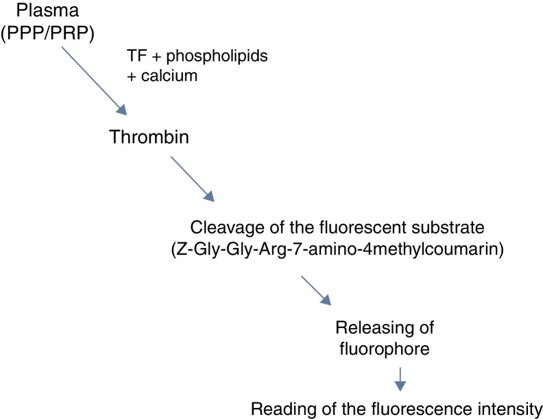 Thrombin generation assays for global evaluation of the hemostatic system: perspectives and limitations