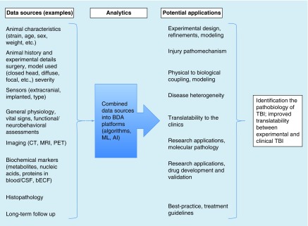 Big Data in traumatic brain injury; promise and challenges.