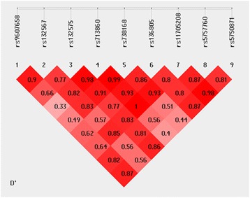 Genetic risk between the <i>CACNA1I</i> gene and schizophrenia in Chinese Uygur population.