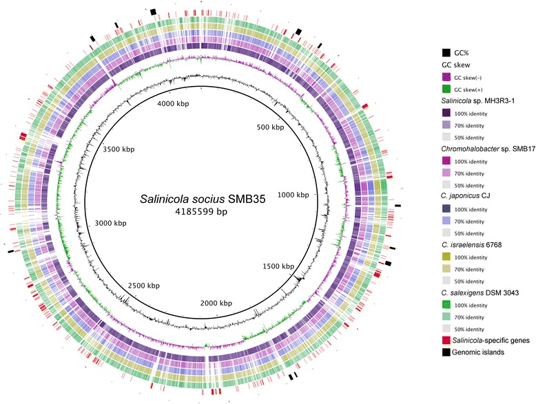 Draft genome sequences of strains <i>Salinicola socius</i> SMB35<sup>T</sup>, <i>Salinicola</i> sp. MH3R3-1 and <i>Chromohalobacter</i> sp. SMB17 from the Verkhnekamsk potash mining region of Russia.