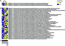 Dissection of the module network implementation “LemonTree”: enhancements towards applications in metagenomics and translation in autoimmune maladies†