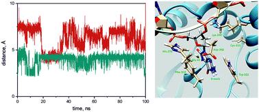 Global DNA dynamics of 8-oxoguanine repair by human OGG1 revealed by stopped-flow kinetics and molecular dynamics simulation†