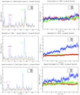 Protein stability and dynamics influenced by ligands in extremophilic complexes – a molecular dynamics investigation